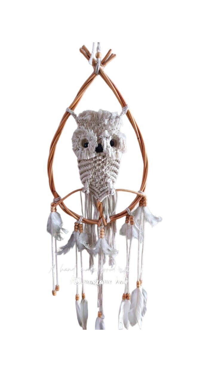 Owl macrame dream catcher