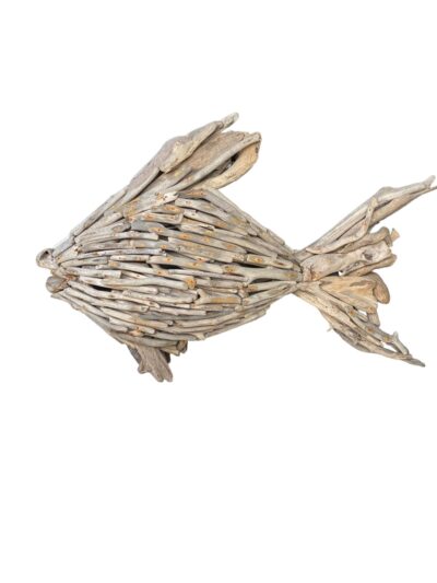 Fish Drift Wood