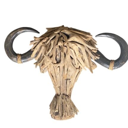 Buffallo Head Drift Wood Xl