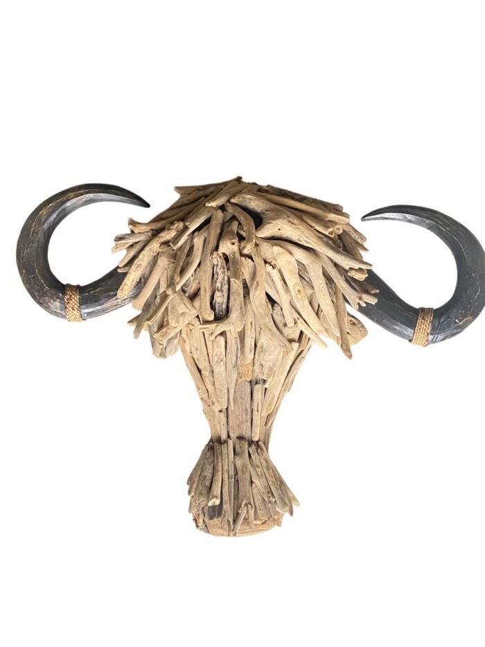 Buffallo Head Drift Wood Xl