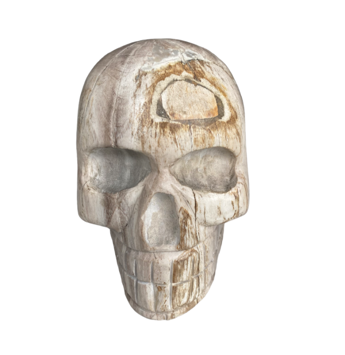 Saphiens White Bali Fossil Wood