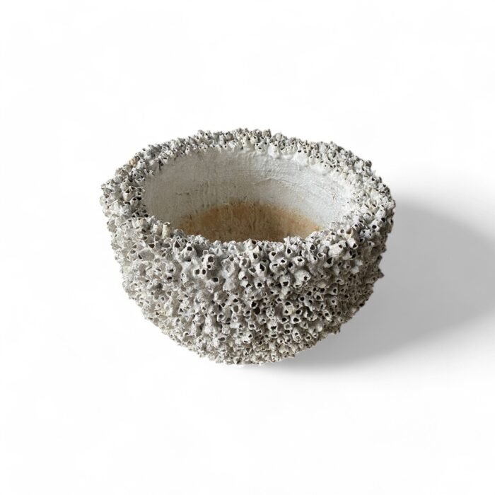 Handcrafted in Bali, this cement pottery features intricate coral and shell-inspired designs. Made with exceptional detail by skilled artisans, it adds a touch of coastal elegance to any space. Perfect for decor or functional use, each piece is a unique work of art.