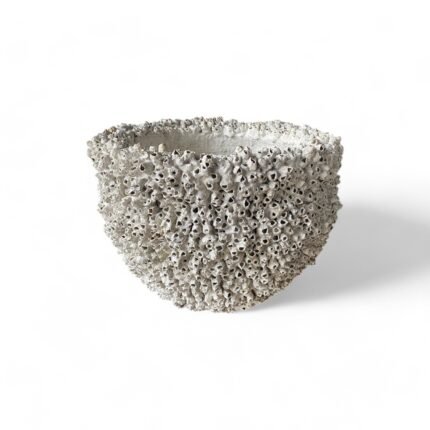 Reef Blossom Bowl