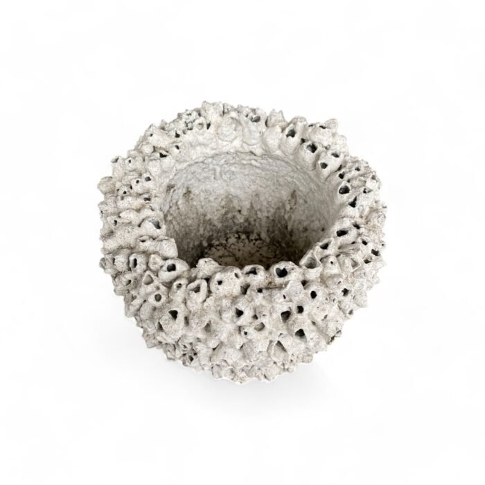 Handcrafted in Bali, this cement pottery features intricate coral and shell-inspired designs. Made with exceptional detail by skilled artisans, it adds a touch of coastal elegance to any space. Perfect for decor or functional use, each piece is a unique work of art.