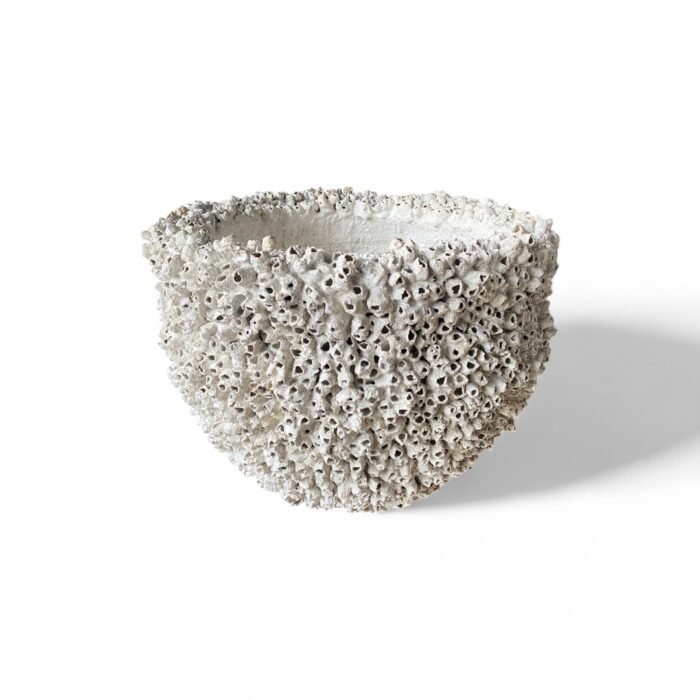 Handcrafted in Bali, this cement pottery features intricate coral and shell-inspired designs. Made with exceptional detail by skilled artisans, it adds a touch of coastal elegance to any space. Perfect for decor or functional use, each piece is a unique work of art.