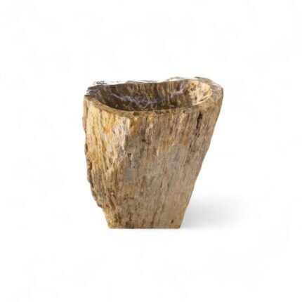 Petrified Wood Standing Basin – Unique Fossil Stone Sink for Bathroom Elegance (60x90 cm)